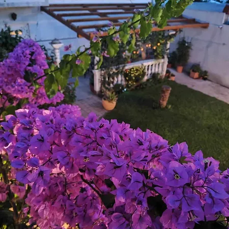 Grubelic - Perfect For Families And Small Groups * Tribunj (Sibenik-Knin)