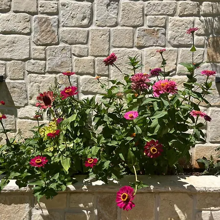 Apartman Grubelic - Perfect For Families And Small Groups Tribalj