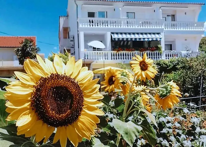 Grubelic - Perfect For Families And Small Groups Tribalj