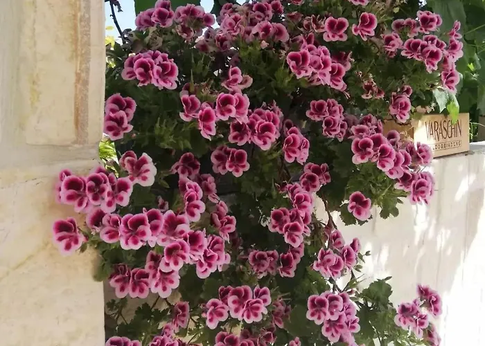 Grubelic - Perfect For Families And Small Groups *