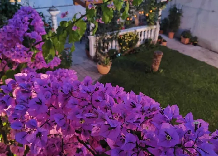 Grubelic - Perfect For Families And Small Groups * Tribalj