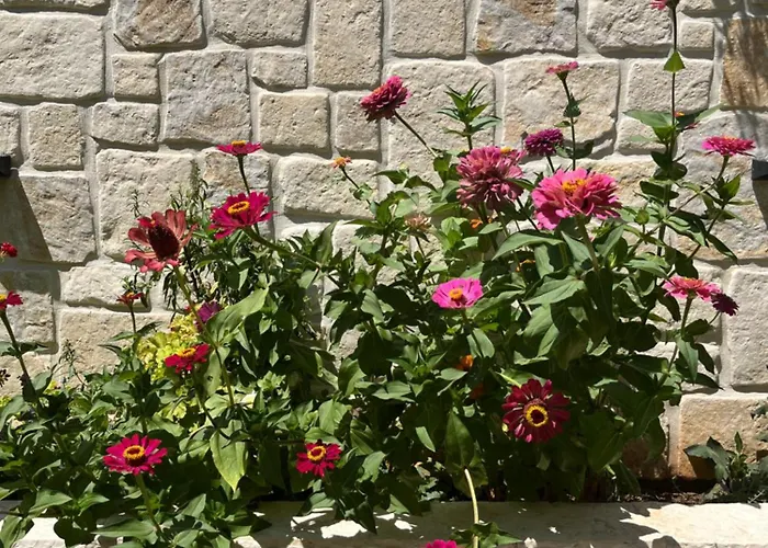 Apartman Grubelic - Perfect For Families And Small Groups Tribalj